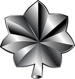 Lieutenant Colonel Lieutenant Colonel